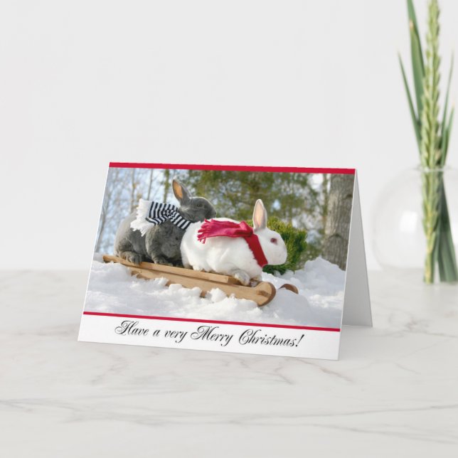 Carte pelucheuse de lapin de Joyeux Noël (Devant)