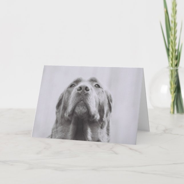 Carte Penny (Devant)