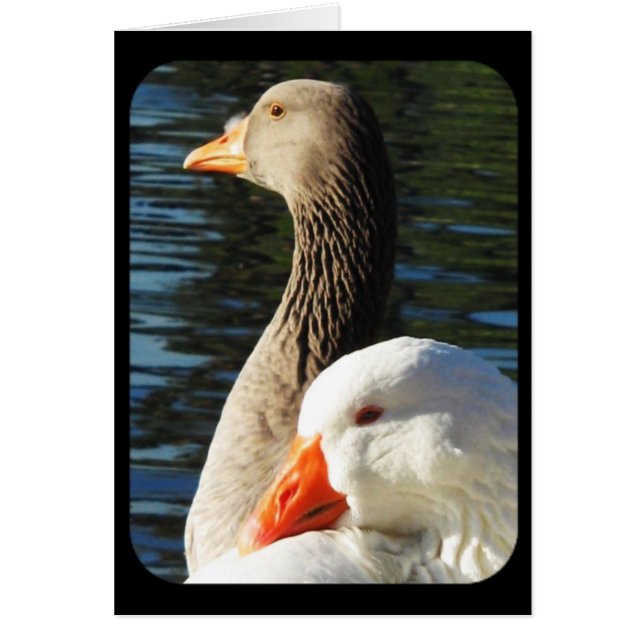 Carte Pensant à toi (Devant)