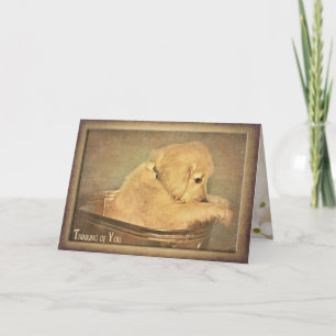 Carte pensant à vous golden retriever puppy
