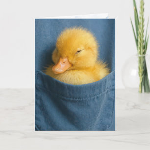 Carte Pense à toi Caneton Dans une poche de T-shirt Bleu