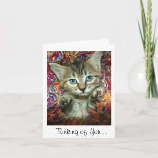 Carte Pense à toi... Tabby Gris Kitten