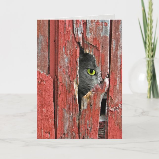 Carte Pensée à vous chat (Devant)