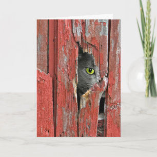 Carte Pensée à vous chat