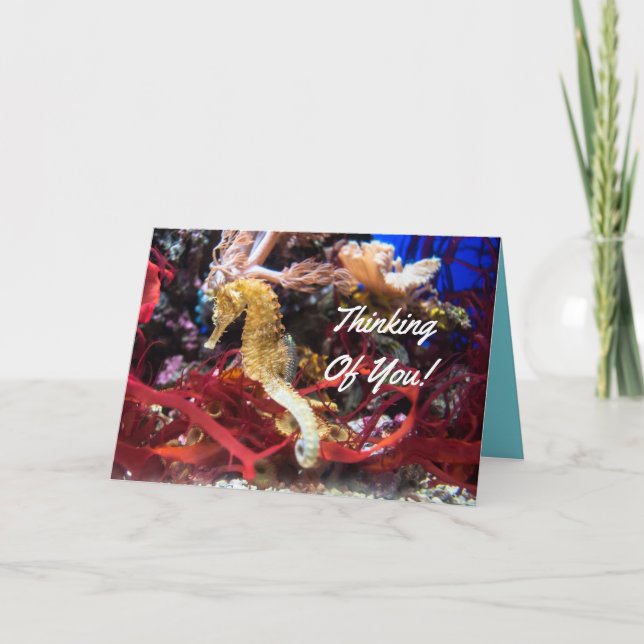 Carte Pensée à vous hippocampe (Devant)