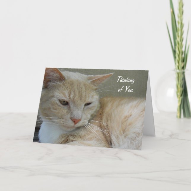 Carte PENSÉE à VOUS photographie faite sur commande (Devant)
