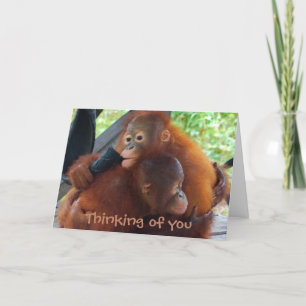 Carte Pensée à vous tu me manque