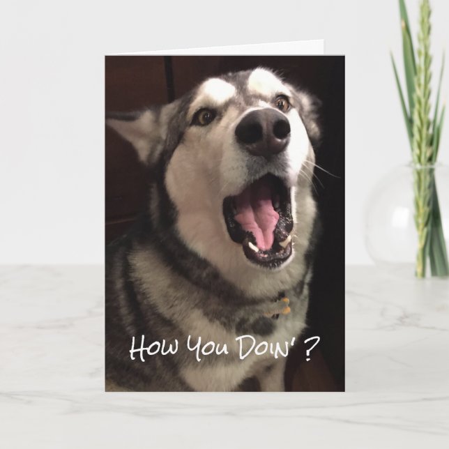 Carte Pensée Drôle De Vous Malamute De L'Alaska Photo Ch (Devant)