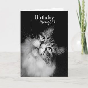 Carte Pensées d'anniversaire du point de vue d'un chat (