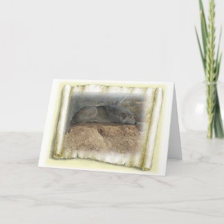 Carte Pensées de loup