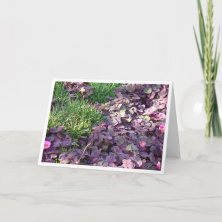 Carte Pensées pourpres