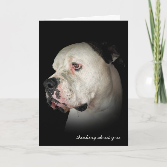Carte penser à Bulldog (Devant)