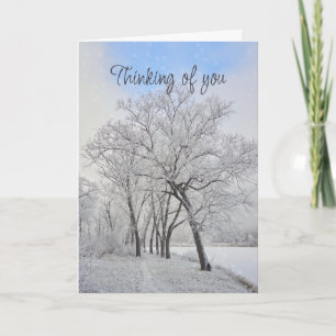 Carte Penser à vous Belle forêt d'arbres d'hiver