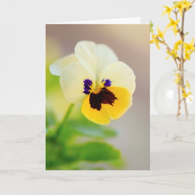 Carte Penser À Vous Cancer Support (Fleur jaune)