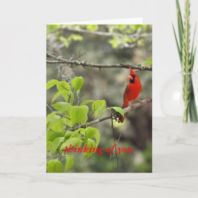 Carte penser à vous/ cardinal (Devant)