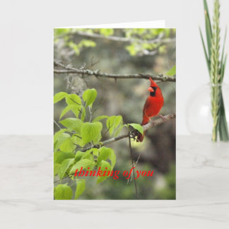 Carte penser à vous/ cardinal