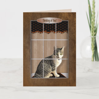 Carte Penser à vous - Chat regarder par la fenêtre