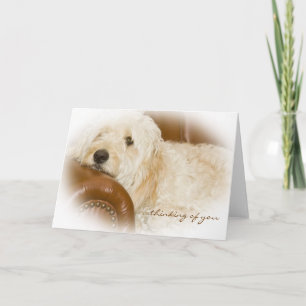 Carte Penser à vous - Dreamy Dog Resting