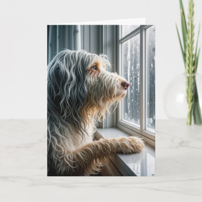 Carte Penser à vous ennuyé Collie regarder la pluie (Devant)