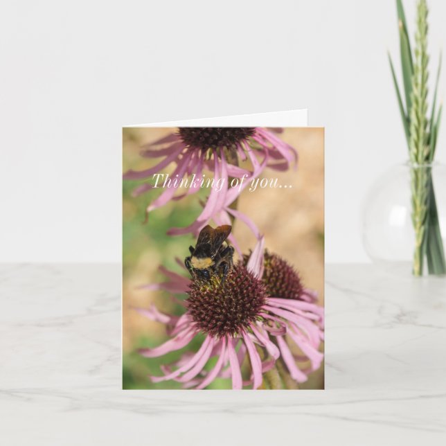 Carte Penser à vous être sur Black Eyed Susan Pano (Devant)