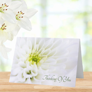 Carte Penser À Vous Fleur Blanche Sympathie
