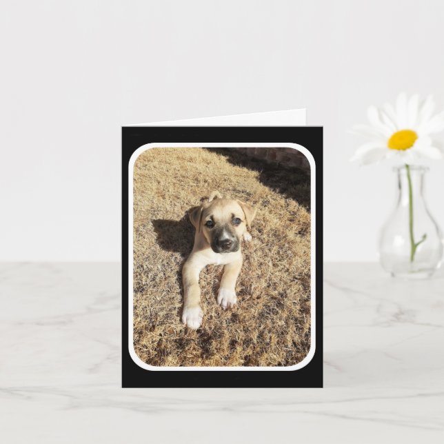 Carte Penser à vous - Grotesse des chiots (Petite plante)