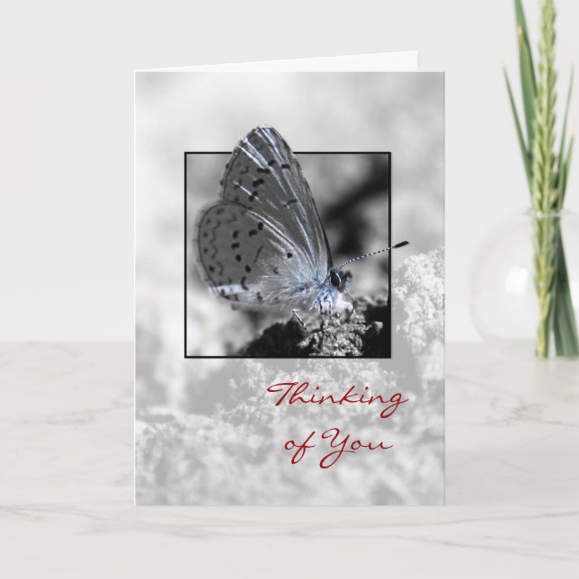 Carte Penser à vous Holly Blue Butterfly Greeting Card (Devant)