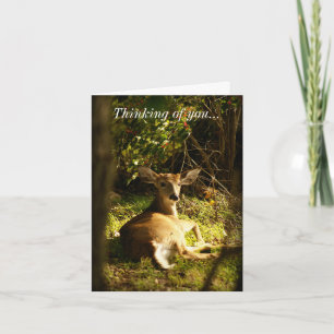 Carte Penser À Vous Jeune Buck Dans Le pré