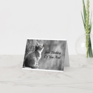 Carte Penser À Vous Kitten