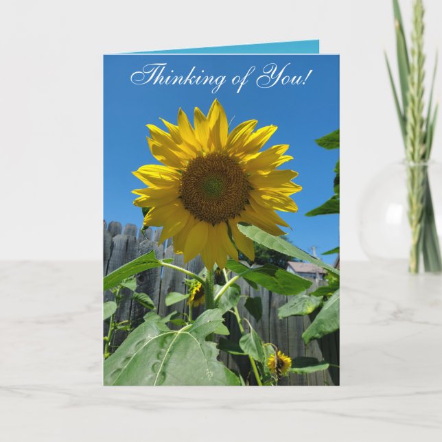 Carte Penser à vous la photographie tournesol (Devant)