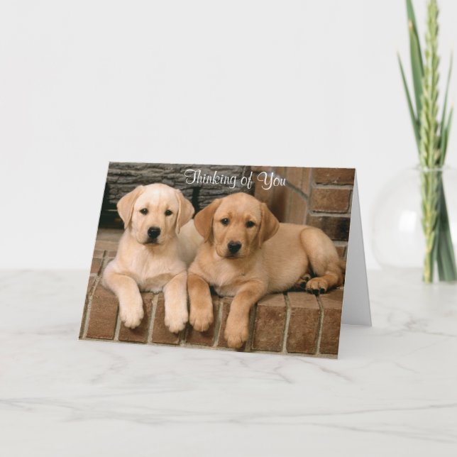 Carte Penser à vous Labrador Retriever Puppies Card (Devant)