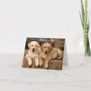 Carte Penser à vous Labrador Retriever Puppies Card