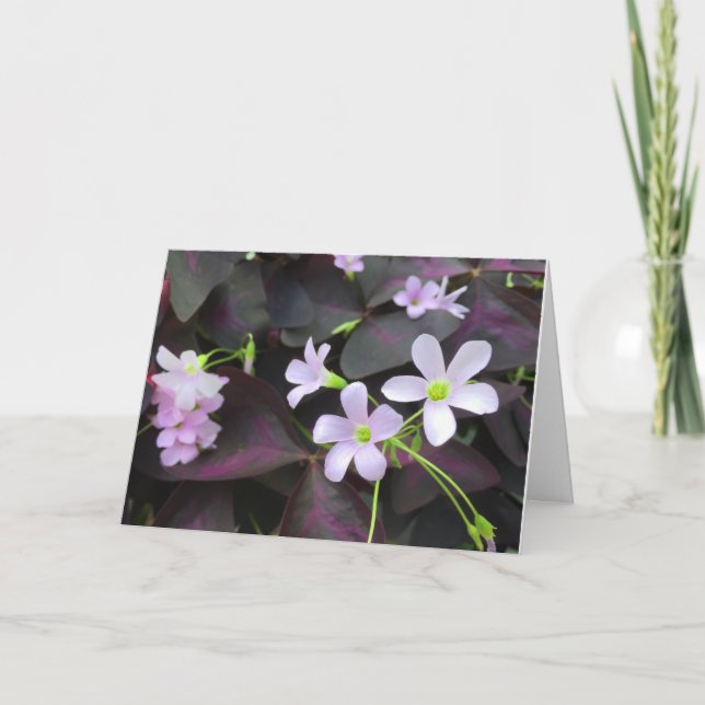 Carte Penser à vous les fleurs de Shamrock violet photo (Devant)