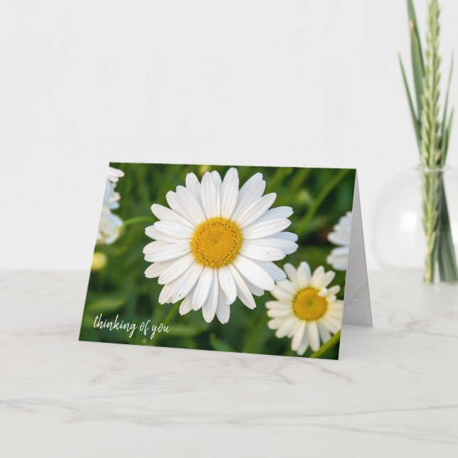 Carte penser à vous marguerite blanche (Devant)