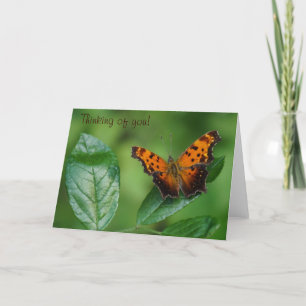 Carte Penser à vous par papillon !