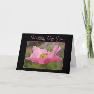 Carte Penser à vous Pink Poppy Flower photo
