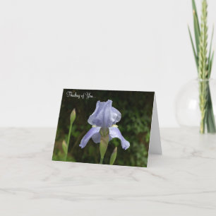 Carte Penser à vous près de la pluie Iris tombe