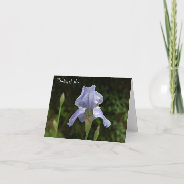 Carte Penser à vous près de la pluie Iris tombe (Devant)