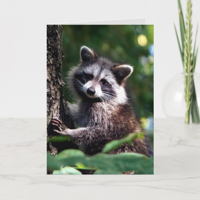 Carte Penser à vous Récupération rapide Raccoon Animal (Devant)