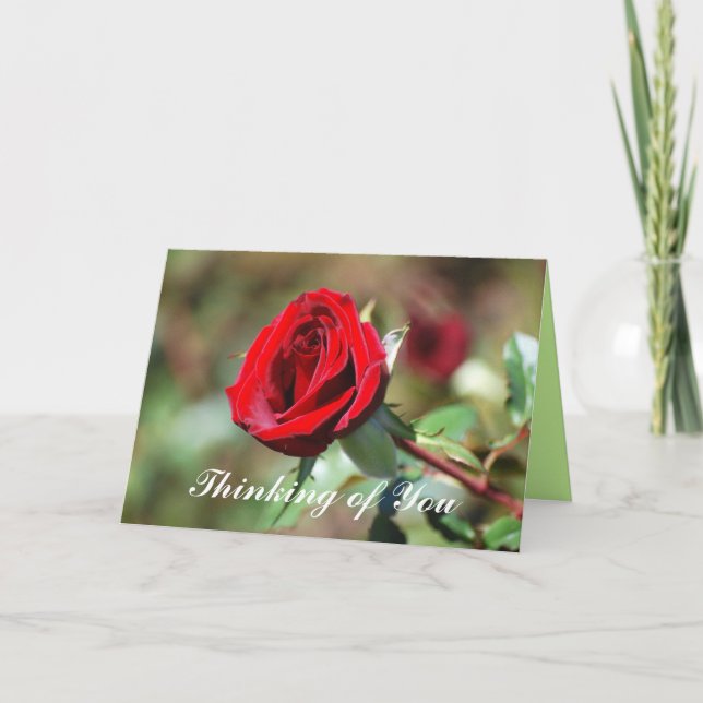 Carte Penser à vous Red Rose Blank Card (Devant)