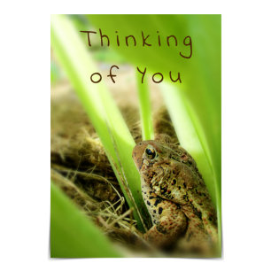 Carte "Penser à vous" Thghtful Toad