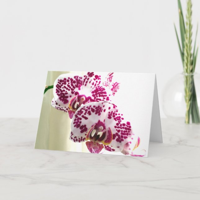 Carte Penser à vous varié violet orchidée photo (Devant)