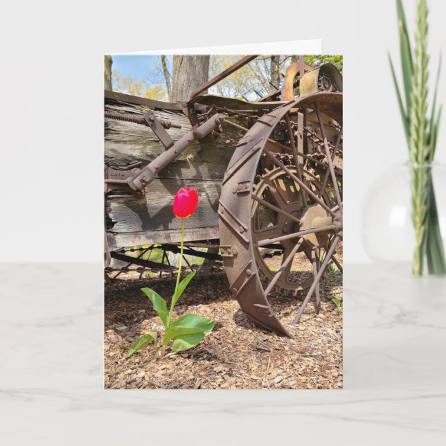 Carte Penser à vous Vieux Wagon et Tulipe Rouge (Devant)