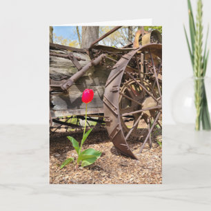 Carte Penser à vous Vieux Wagon et Tulipe Rouge