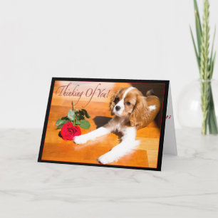 Carte Pensez À Vous Cavalier King Charles Spaniel Pup