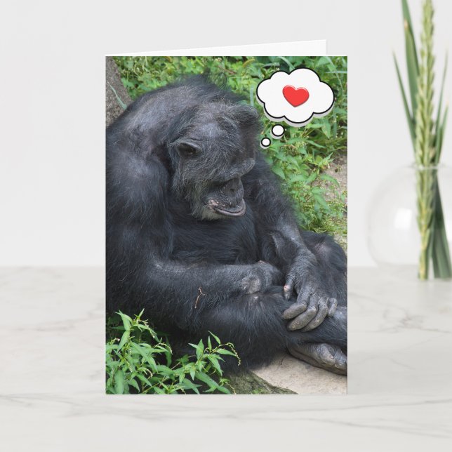 Carte Pensez à vous Chimpanzé (Devant)