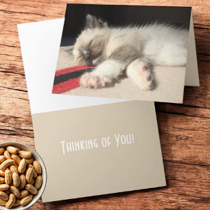 Carte Pensez à vous dormant Siamese Kitten photo