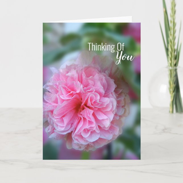 Carte Pensez À Vous Hollyhock Photo (Devant)