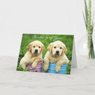 Carte Pensez à vous Labrador Retriever Puppies Card