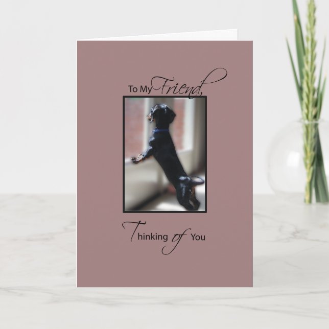 Carte Pensez à vous pour ami avec petit chien, Get We (Devant)